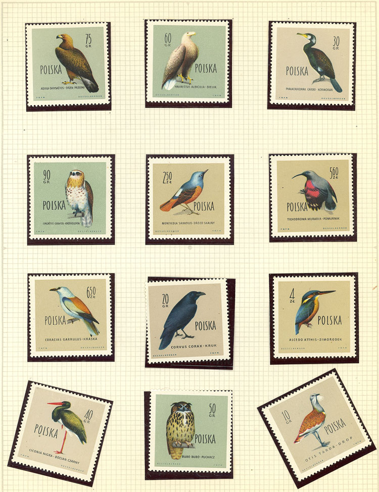 Lot 17 - topic birds Lots and Collections -  Guillermo Jalil - Philatino Auction # 2222 WORLDWIDE + ARGENTINA: Special June auction!