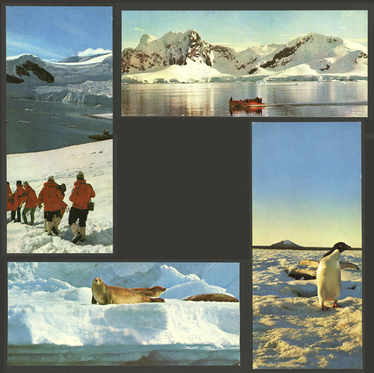 Stamp Auction - argentine antarctica postcards - Auction # 2243 ...