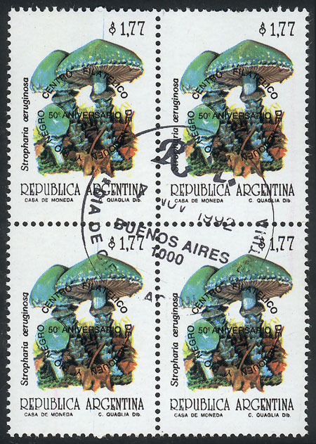Lot 1005 - Argentina general issues -  Guillermo Jalil - Philatino Auction # 2339 ARGENTINA: Budget auction with very good material of all periods, including rarities!