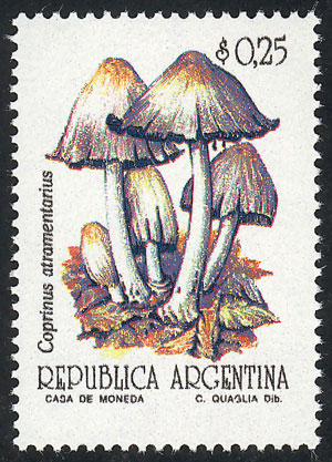 Lot 1001 - Argentina general issues -  Guillermo Jalil - Philatino Auction # 2339 ARGENTINA: Budget auction with very good material of all periods, including rarities!
