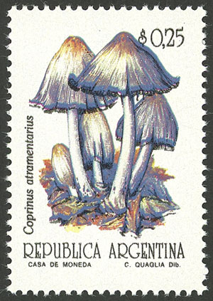 Lot 512 - Argentina general issues -  Guillermo Jalil - Philatino Auction # 2337 ARGENTINA: General auction including rarities, all with very low starts!