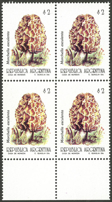 Lot 513 - Argentina general issues -  Guillermo Jalil - Philatino Auction # 2337 ARGENTINA: General auction including rarities, all with very low starts!