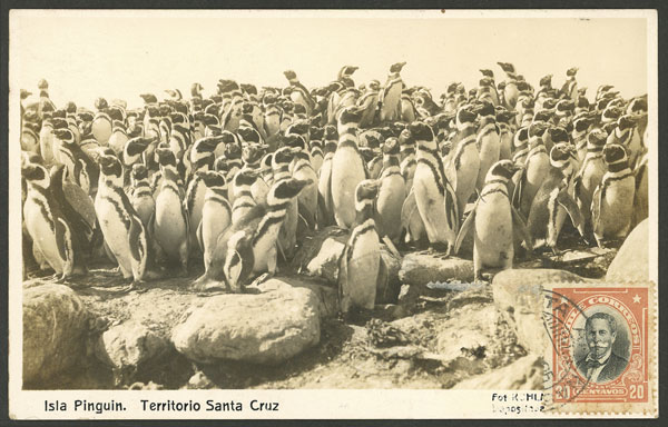 Lot 1529 - Argentina postcards - Guillermo Jalil - Philatino Auction # 2339 ARGENTINA: General auction with material of all periods, including rarities Lot 1529 - Argentina postcards - Guillermo Jalil - Philatino Auction # 2339 ARGENTINA: General auction with material of all periods, including rarities