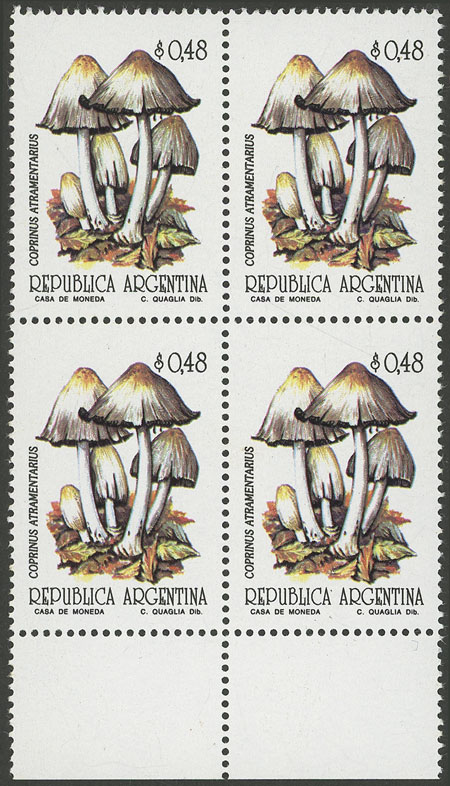 Lot 1077 - Argentina general issues - Guillermo Jalil - Philatino Auction # 2342 ARGENTINA: General auction with very low starts! Lot 1077 - Argentina general issues - Guillermo Jalil - Philatino Auction # 2342 ARGENTINA: General auction with very low starts!
