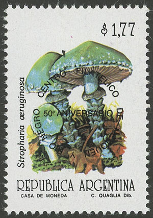 Lot 1080 - Argentina general issues - Guillermo Jalil - Philatino Auction # 2342 ARGENTINA: General auction with very low starts! Lot 1080 - Argentina general issues - Guillermo Jalil - Philatino Auction # 2342 ARGENTINA: General auction with very low starts!