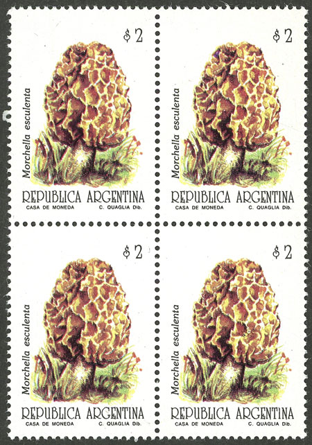 Lot 1006 - Argentina general issues - Guillermo Jalil - Philatino Auction # 2348 ARGENTINA: General auction with material of all periods, including rarities Lot 1006 - Argentina general issues - Guillermo Jalil - Philatino Auction # 2348 ARGENTINA: General auction with material of all periods, including rarities
