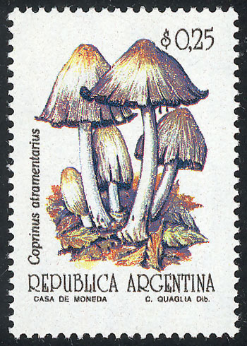 Lot 1037 - Argentina general issues - Guillermo Jalil - Philatino Auction # 2401 ARGENTINA: Lot 1037 - Argentina general issues - Guillermo Jalil - Philatino Auction # 2401 ARGENTINA: