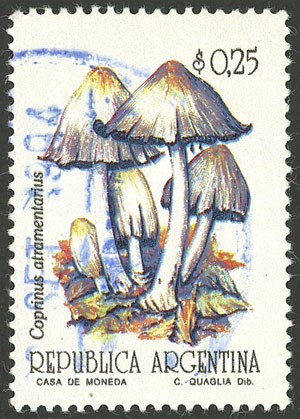 Lot 737 - Argentina general issues - Guillermo Jalil - Philatino Auction # 2405 ARGENTINA: Lot 737 - Argentina general issues - Guillermo Jalil - Philatino Auction # 2405 ARGENTINA: