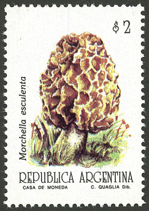 Lot 738 - Argentina general issues - Guillermo Jalil - Philatino Auction # 2405 ARGENTINA: Lot 738 - Argentina general issues - Guillermo Jalil - Philatino Auction # 2405 ARGENTINA: