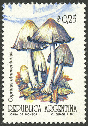 Lot 1081 - Argentina general issues - Guillermo Jalil - Philatino Auction # 2414 ARGENTINA: Super-economy auction with many interesting lots with VERY LOW PRICES! Lot 1081 - Argentina general issues - Guillermo Jalil - Philatino Auction # 2414 ARGENTINA: Super-economy auction with many interesting lots with VERY LOW PRICES!