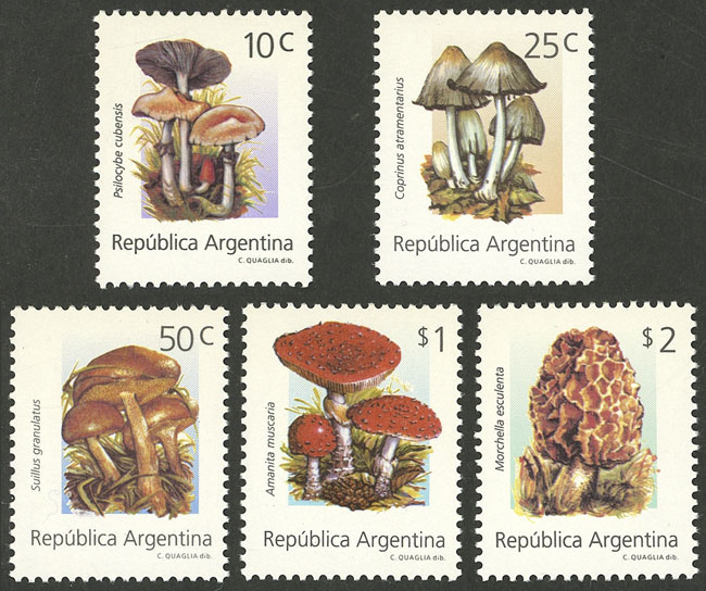 Lot 1084 - Argentina general issues - Guillermo Jalil - Philatino Auction # 2414 ARGENTINA: Super-economy auction with many interesting lots with VERY LOW PRICES! Lot 1084 - Argentina general issues - Guillermo Jalil - Philatino Auction # 2414 ARGENTINA: Super-economy auction with many interesting lots with VERY LOW PRICES!