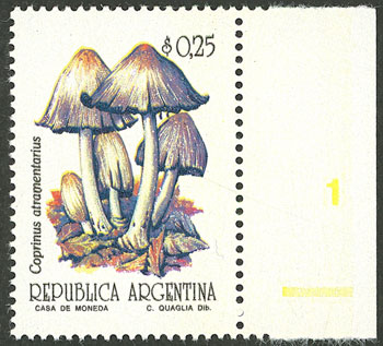 Lot 1079 - Argentina general issues - Guillermo Jalil - Philatino Auction # 2414 ARGENTINA: Super-economy auction with many interesting lots with VERY LOW PRICES! Lot 1079 - Argentina general issues - Guillermo Jalil - Philatino Auction # 2414 ARGENTINA: Super-economy auction with many interesting lots with VERY LOW PRICES!