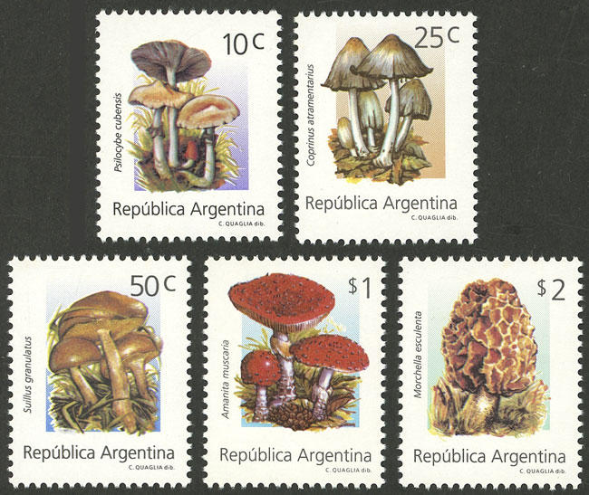 Lot 1076 - Argentina general issues -  Guillermo Jalil - Philatino Auction # 2418 ARGENTINA: General auction with very low starts, including many rarities!