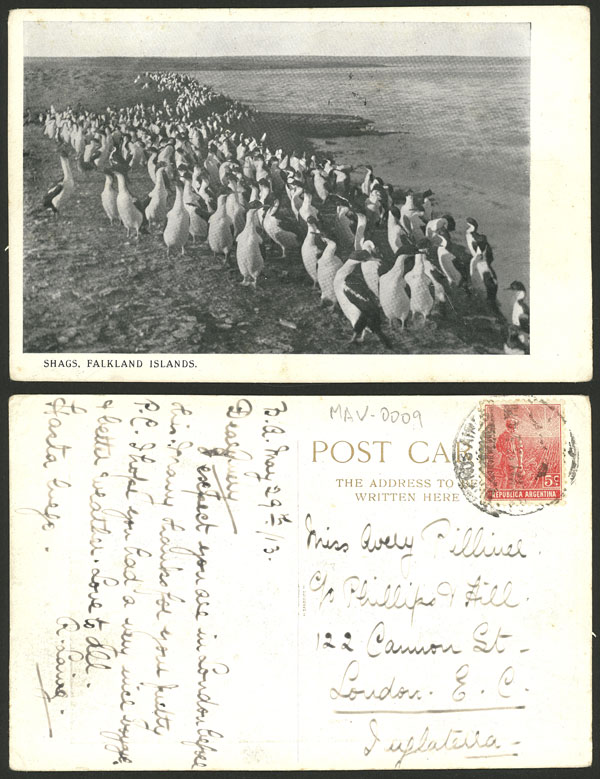 Lot 1173 - falkland islands/malvinas postcards -  Guillermo Jalil - Philatino Auction # 2419 WORLDWIDE + ARGENTINA: Special May auction