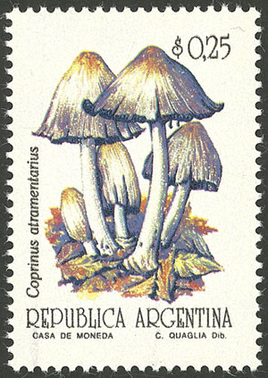 Lot 1044 - Argentina general issues - Guillermo Jalil - Philatino Auction # 2425 ARGENTINA: Super-economy auction with many interesting lots with VERY LOW PRICES! Lot 1044 - Argentina general issues - Guillermo Jalil - Philatino Auction # 2425 ARGENTINA: Super-economy auction with many interesting lots with VERY LOW PRICES!