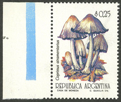 Lot 1275 - Argentina general issues - Guillermo Jalil - Philatino Auction # 2511 ARGENTINA: Lot 1275 - Argentina general issues - Guillermo Jalil - Philatino Auction # 2511 ARGENTINA: