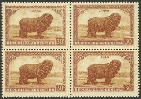 Foto del lote