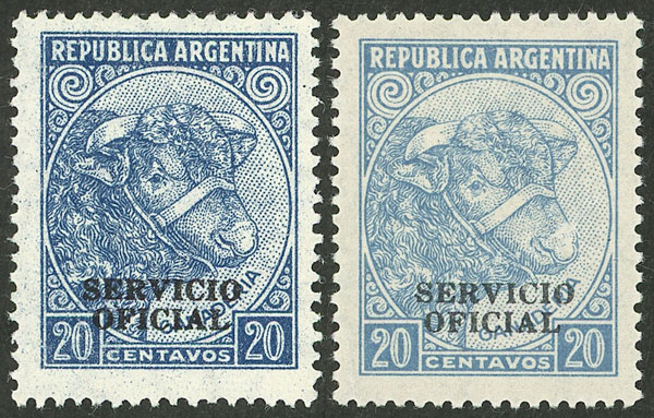 Foto del lote