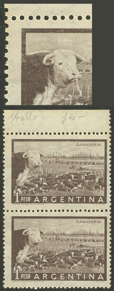 Foto del lote
