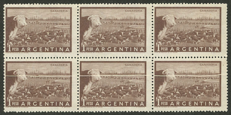 Foto del lote