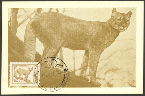 Lot 625 - Argentina general issues -  Guillermo Jalil - Philatino Auction # 2540 ARGENTINA: General sale with lots at very low starts!