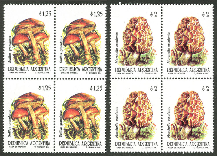 Lot 827 - Argentina general issues - Guillermo Jalil - Philatino Auction # 2605 ARGENTINA: Very good selection of interesting lots with very low prices! Lot 827 - Argentina general issues - Guillermo Jalil - Philatino Auction # 2605 ARGENTINA: Very good selection of interesting lots with very low prices!