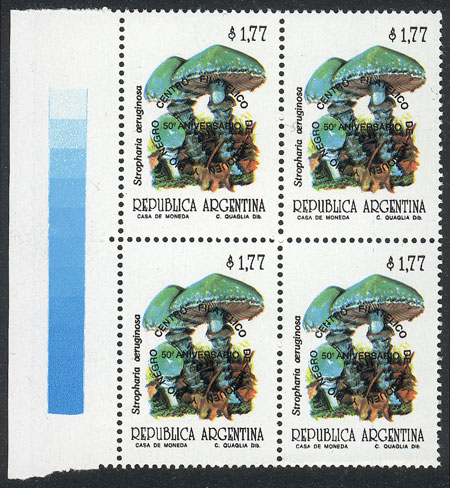 Lot 532 - Argentina general issues - Guillermo Jalil - Philatino Auction # 2624 ARGENTINA: Spectacular auction with material from all periods, including many rarities! Lot 532 - Argentina general issues - Guillermo Jalil - Philatino Auction # 2624 ARGENTINA: Spectacular auction with material from all periods, including many rarities!