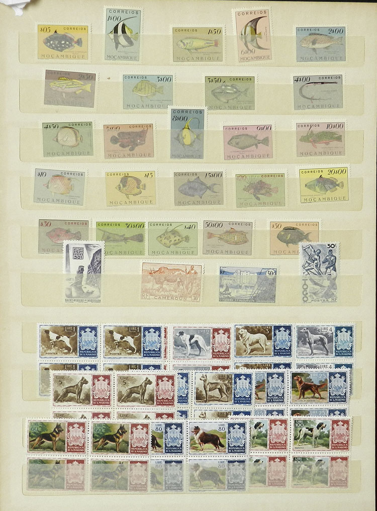 Lot 17 - TOPIC FAUNA & FLORA Lots and Collections - Guillermo Jalil - Philatino Auction # 2629 WORLDWIDE + ARGENTINA: General August auction Lot 17 - TOPIC FAUNA & FLORA Lots and Collections - Guillermo Jalil - Philatino Auction # 2629 WORLDWIDE + ARGENTINA: General August auction